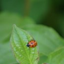신흥동물병원 이미지