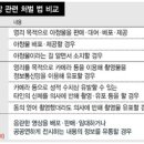 디에스오일 이미지