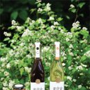 대박양봉 이미지