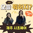 시초 | [제주미용실] 제주 노형동 미용실 추천 | 시초헤어 레드브라운 염색 솔직 후기 ✨