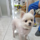 북비산로 이미지