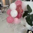 무지개상점 | 제주 웨딩스냅 풍선 '무지개 상점 in' (with 헬퍼훈스냅) / 헬륨풍선, 메리미풍선, 대형 숫자 풍선 구매...