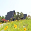 앙뜰 민박 이미지