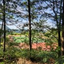 영양군 공설운동장 이미지