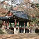 동산(중방) | 서울시 종로구 / 창덕궁 후원 : 15-1. 신선원전(新璿源殿) 일원-괘궁정(掛弓亭), 몽답정(夢踏亭...