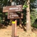 종합운동장길 이미지