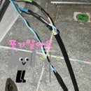 금강전파사 이미지