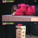 멍꿀잠 이미지
