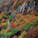 덕산면067 이미지