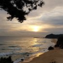 대명호텔 이미지