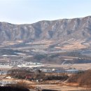 돼지전설 이미지