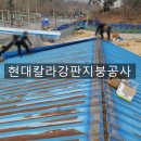 제천현대칼라 이미지