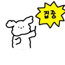 마포-공덕-마포-5357 이미지