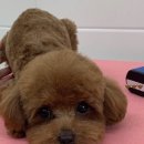 러브몽먼트 이미지