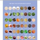 이롬황성주생식 이미지