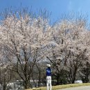 판교원로82번길 | 🌸4월 남서울 CC 파3, 왜 지금 가야 할까?부부 숏게임 데이트 &amp; 4월 이용 꿀팁 총정리