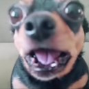 진모공원 | 5월은 어린이날 3월은 개강의 날