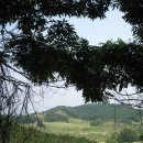 월드사우나 이미지