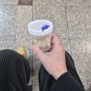 맹장염 충수염편 1 (시간대별 증상 및 입원 진행 위주)
