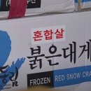 동해안붉은대게 이미지