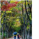 서정 이미지