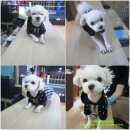 김지영복싱GYM 이미지