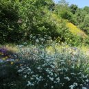 상록요양병원 이미지