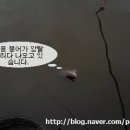 백용낚시터 이미지