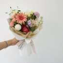 디어리플레르 이미지