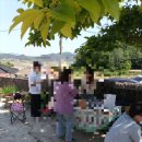 뽐뽐파리