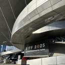 와타나(주) | 2025 제30회 부산국제영화제 예매권 구매부터 치열한 티켓팅 도전후기!