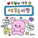 샌드페블 이미지