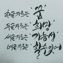감성나무