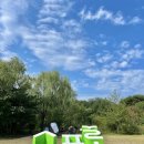 청정수풀 이미지