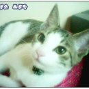 간석3동-1 이미지