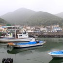 옥죽포모래사막 Daum카페