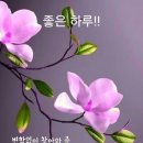 해피명품세탁 이미지