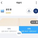 소3-50 | 단꿈체험소 나비엔 숙면매트 사계절 Pro K사이즈 당첨 및 체험후기