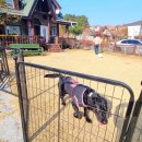 경주 수약국 이미지