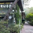 허브나라 자작나무집 이미지