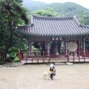 사나사(사찰 앞) 네이버블로그