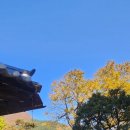 정선507 미술관 | 11월 정선 병방치, 정선5일장, 동강생태공원