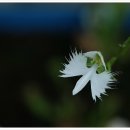 성남시립식물원 이미지