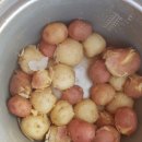 조미영농장 이미지