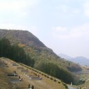 11월 2일(위령의 날) 진달래 묘원 한국 가톨릭문화원 공원묘지에서1 이미지