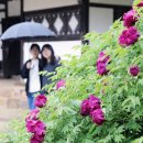 영랑생가 이미지