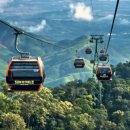 골든카정비 이미지