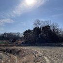 열녀김씨정려 이미지