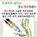 &#34;엠도게인&#34;은? 이미지