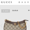 구찌네집 | 20대 30대 명품 입문백 추천! 구찌 오피디아 미니백 수납력 호환스트랩 꿀팁